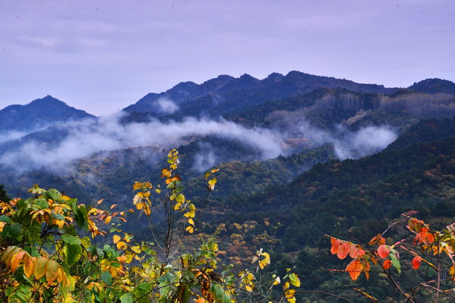 云霧山 云霧山.jpg