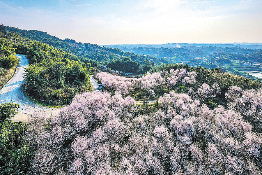 花果山村 花果山村.jpg