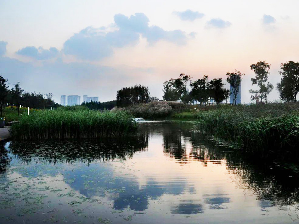 上海世博后灘濕地公園.jpg