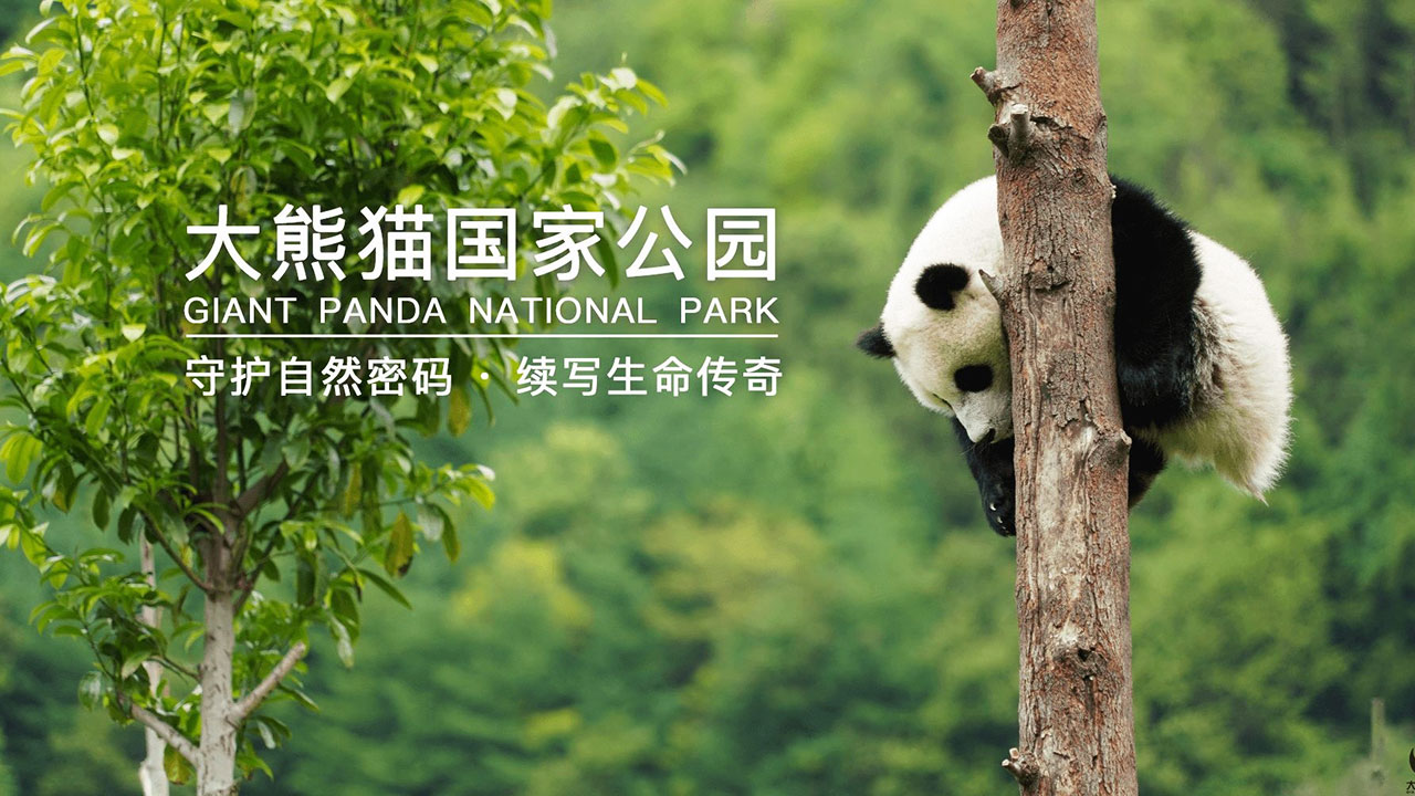大熊貓國家公園圖.jpg