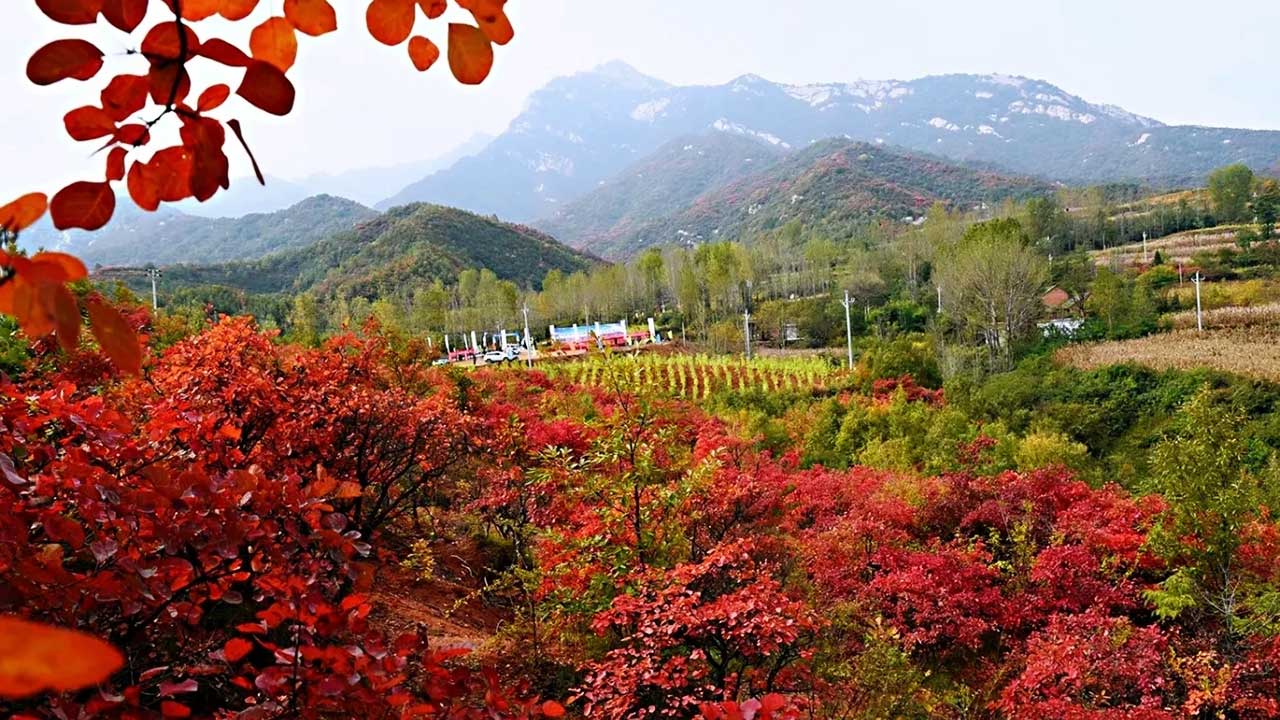 宜陽縣花果山鄉(xiāng) 宜陽縣花果山鄉(xiāng).jpg