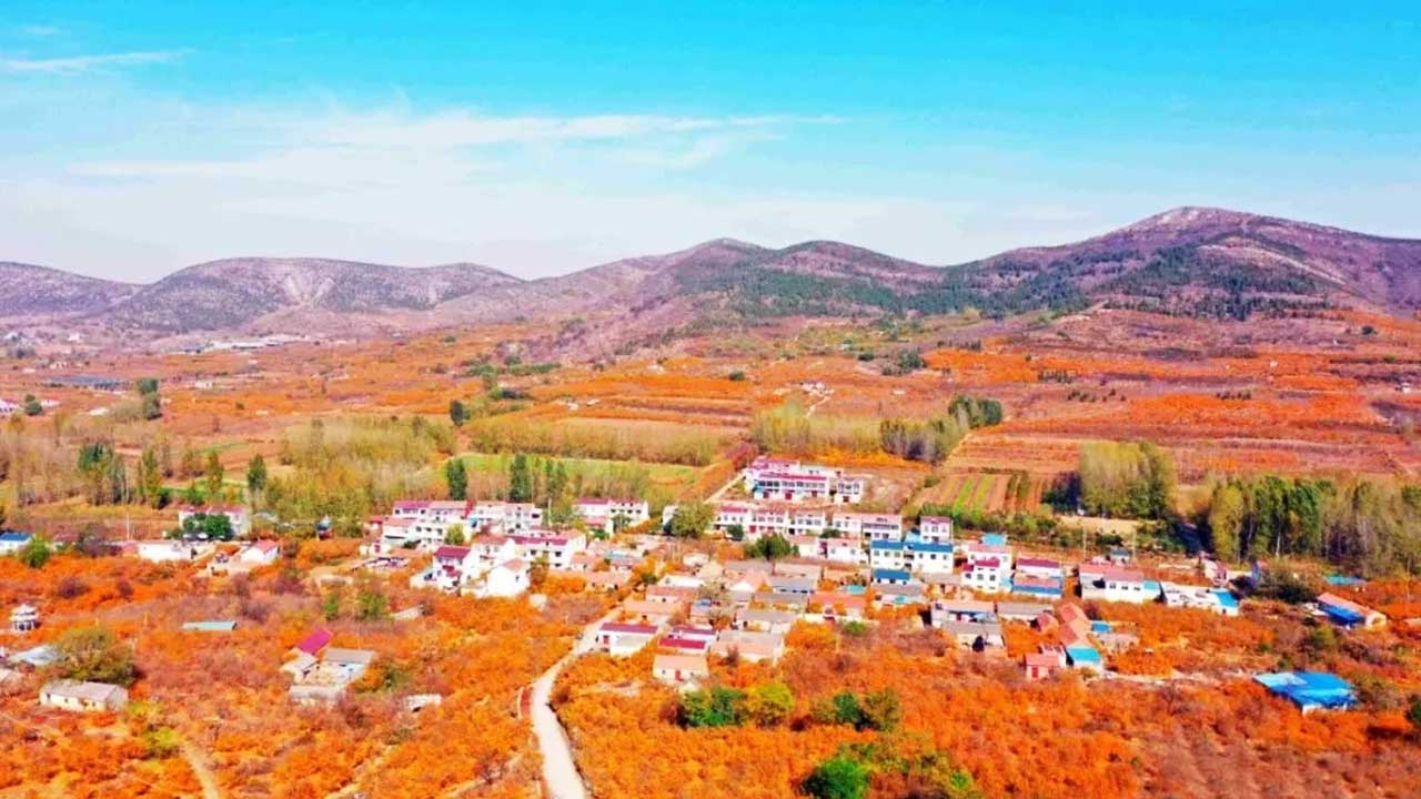 會(huì)理榴園.jpg