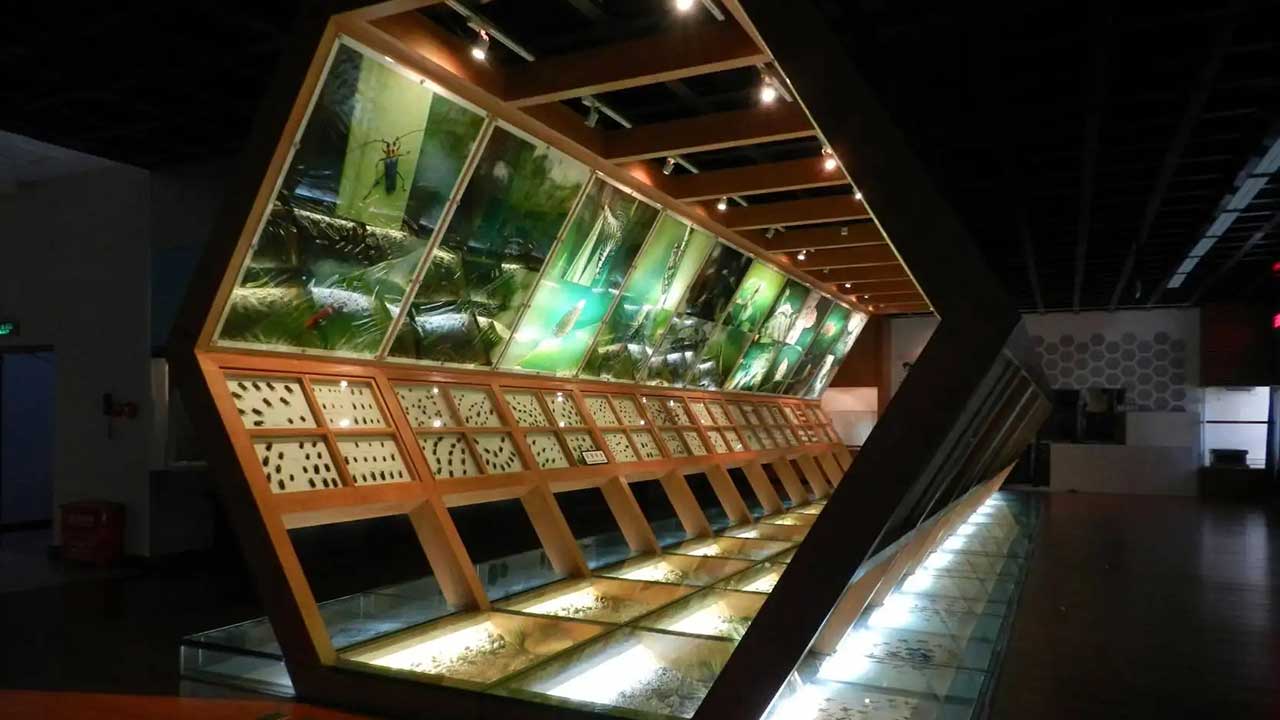 昆明市博物館.jpg