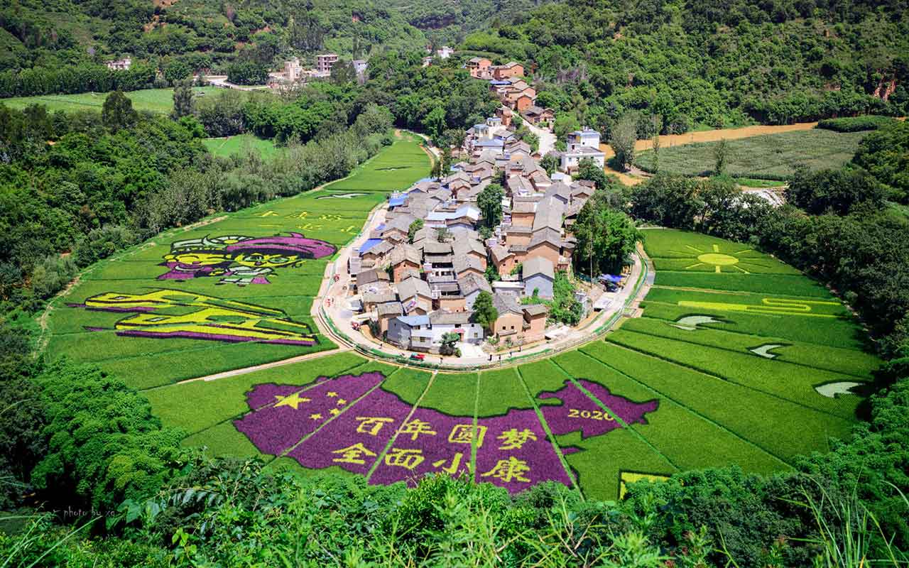 宜良縣水稻旅游示范區(qū).jpg
