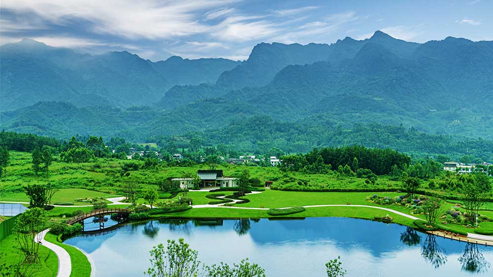 高橋里.jpg