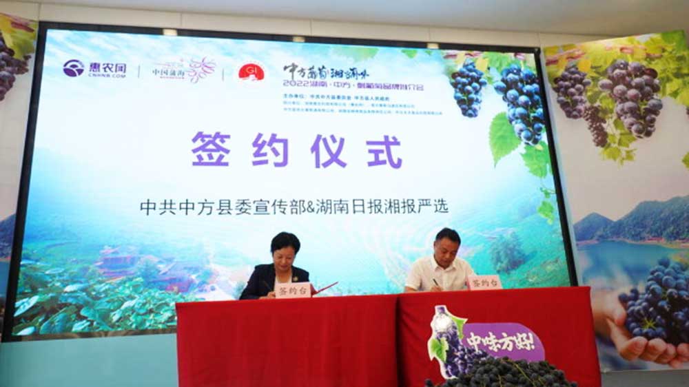 2022年湖南·中方刺葡萄文化旅游節(jié)簽約儀式.jpg