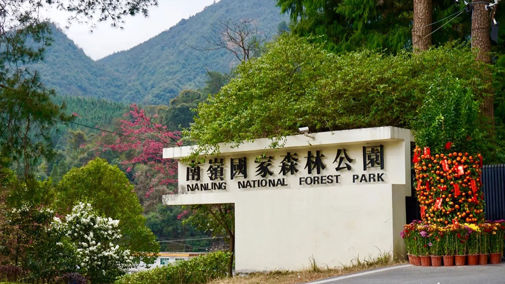 南嶺國家森林公園.jpg