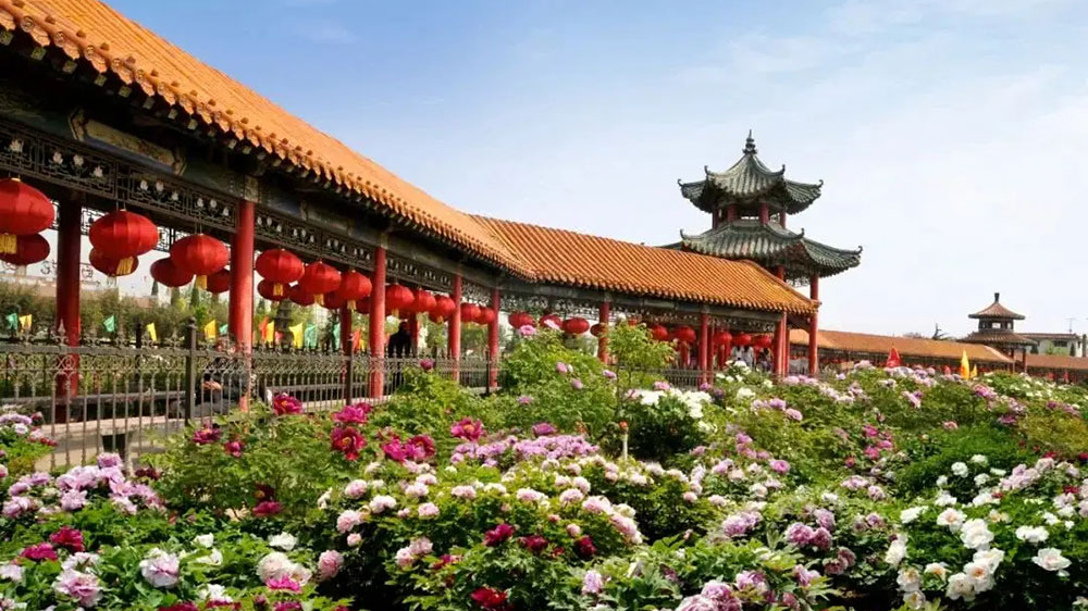 曹州牡丹園.jpg