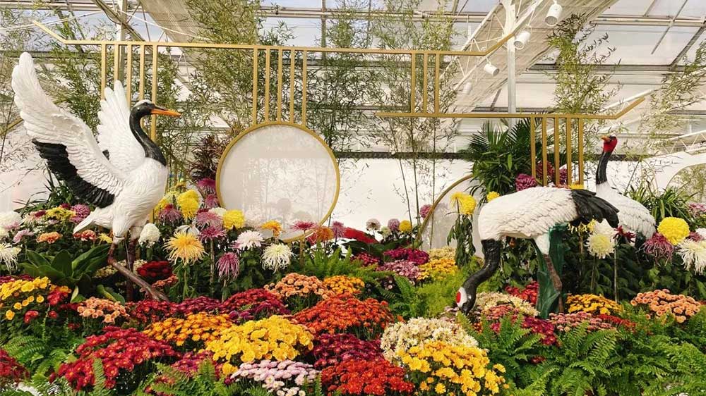 北京世界花卉大觀園.jpg