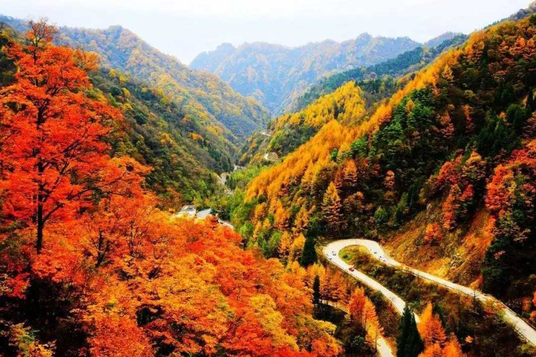 四川光霧山景區(qū).jpg