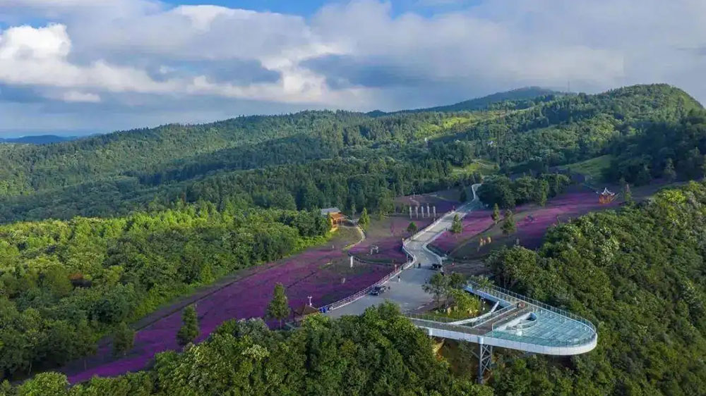 野三關(guān)綠蔥坡旅游度假區(qū).jpg
