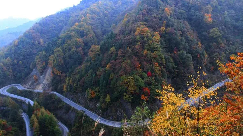 光霧山風(fēng)景區(qū)圖.jpg
