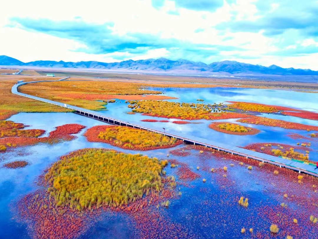 若爾蓋花湖.jpg