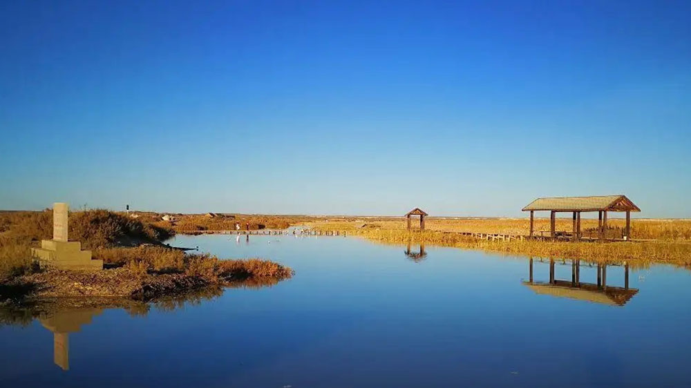 居延海.jpg