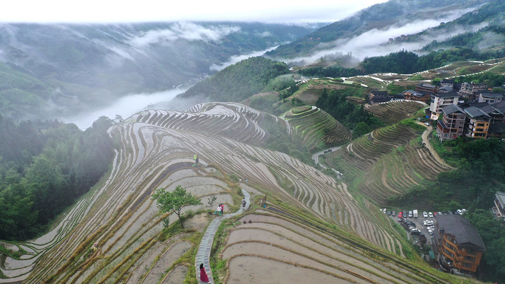 龍脊梯田景區(qū).jpg