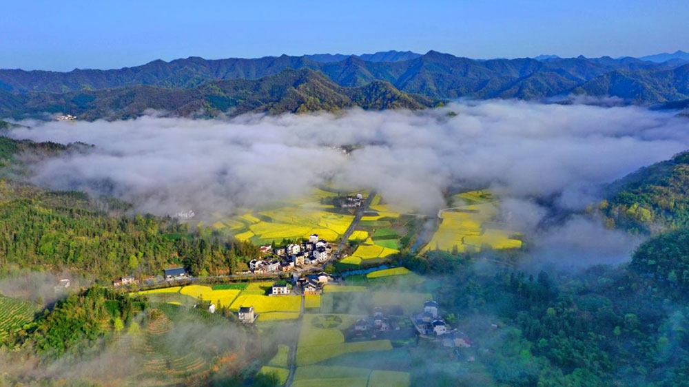 柯村.jpg