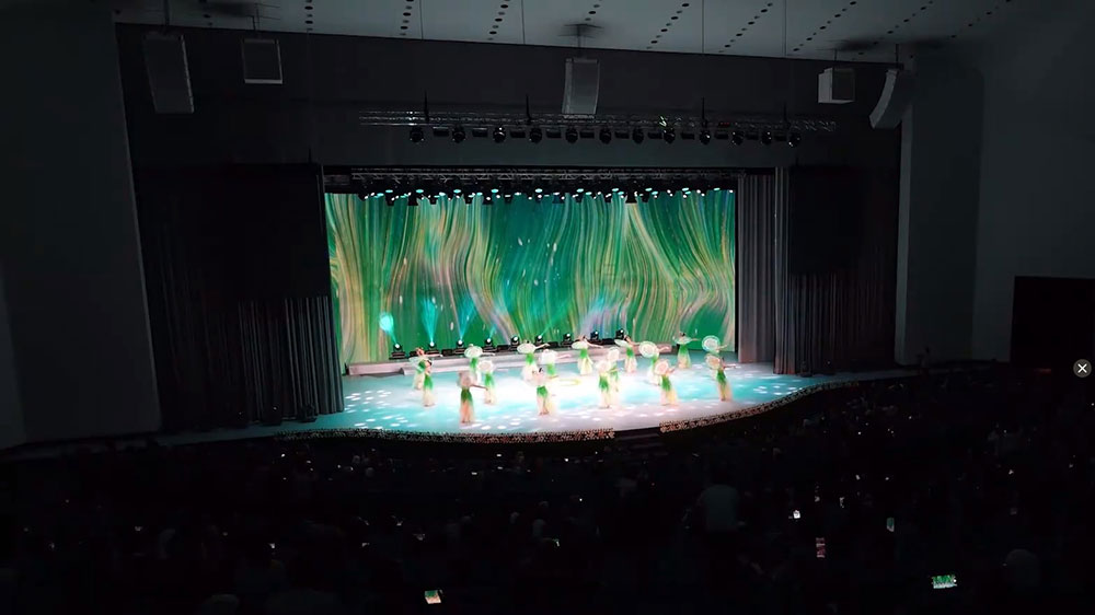 中國文化日專場(chǎng)文藝演出現(xiàn)場(chǎng).jpg
