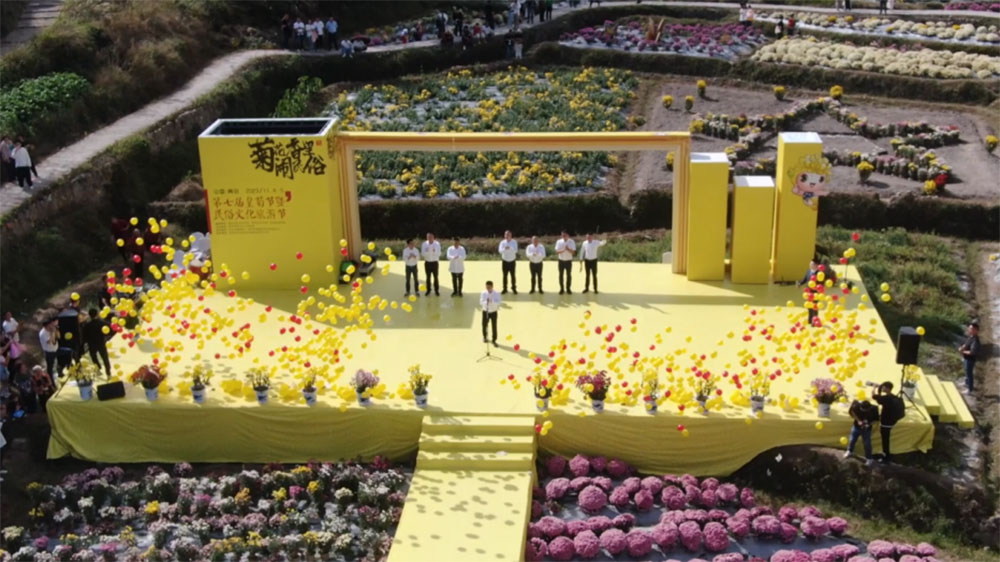 中國青田2023第七屆皇菊節(jié).jpg