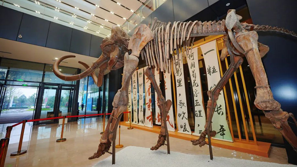 彭州恐龍博物館.jpg