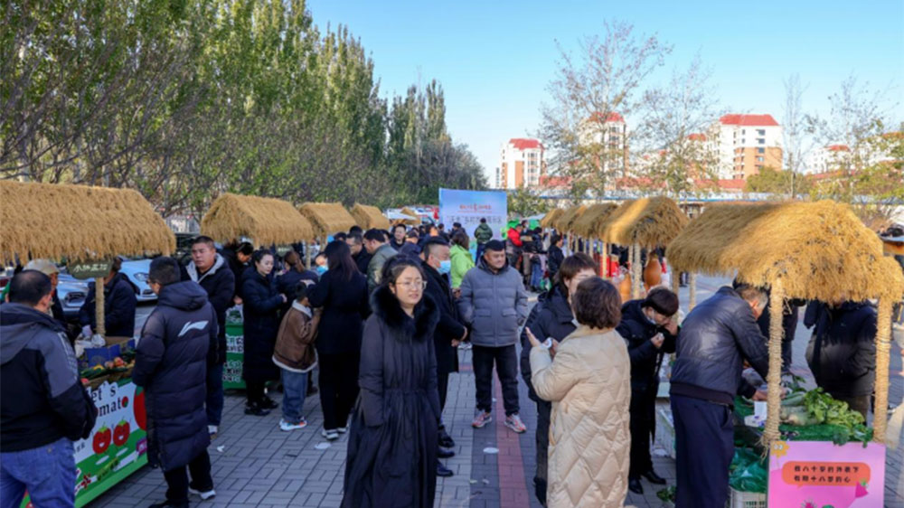 第十六屆沙窩蘿卜文化旅游節(jié)展區(qū).jpg