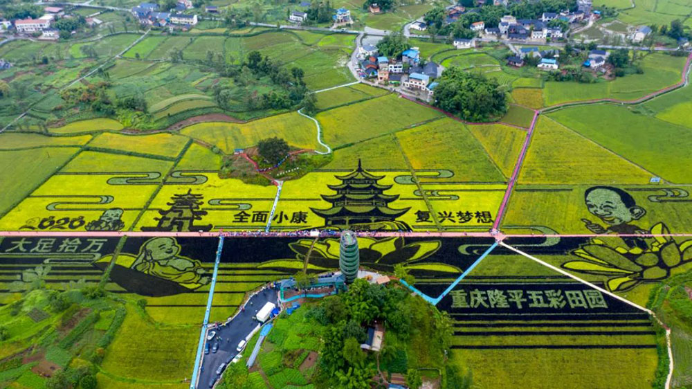重慶袁隆平五彩田園.jpg