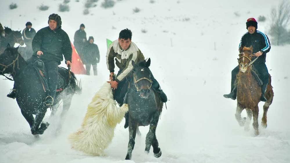 霍城縣第五屆冰雪文化旅游節(jié)運(yùn)動(dòng).jpg