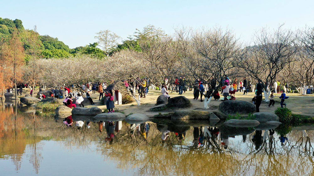 第十四屆蘿崗香雪文化旅游節(jié)現(xiàn)場.jpg