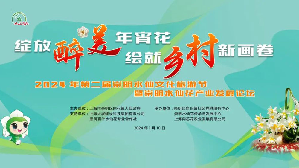 第二屆崇明水仙文化旅游節(jié).jpg
