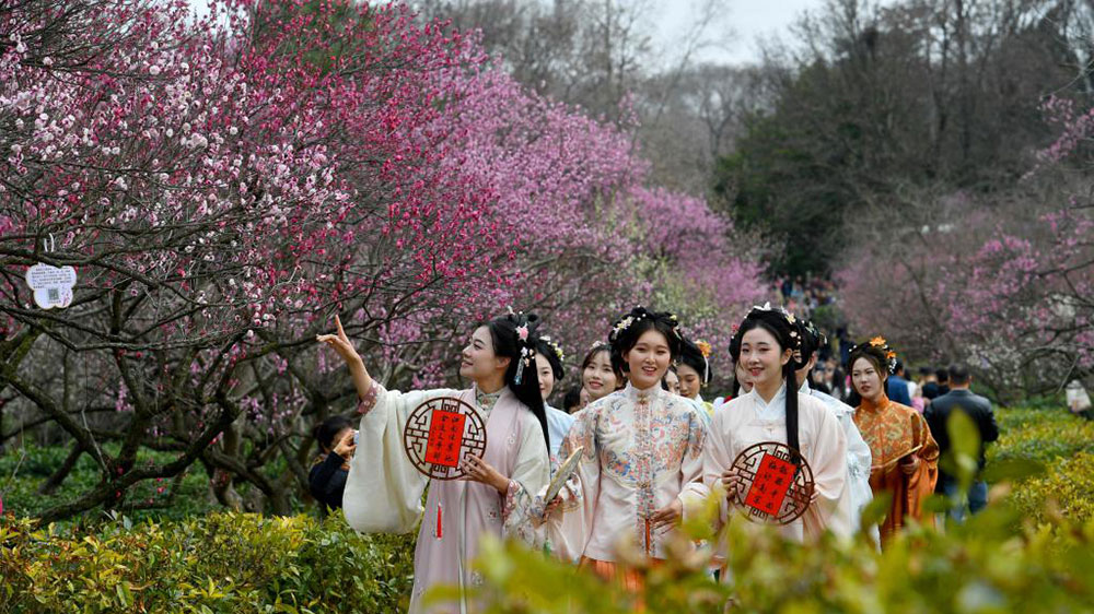 第二十九屆中國(guó)南京國(guó)際梅花節(jié)現(xiàn)場(chǎng).jpg