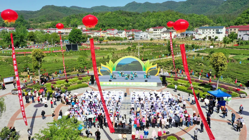 ?？悼h第五屆茶文化旅游節(jié).jpg