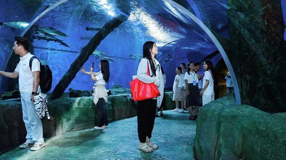 2025-百名媒體海南（陵水）旅游推介活動(dòng)游客觀賞.jpg