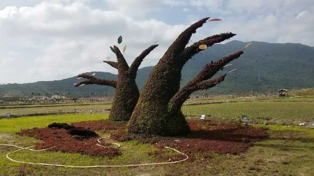 海南：《海南研學(xué)旅游影響力指數(shù)報(bào)告》發(fā)布，探索更加切實(shí)可行的發(fā)展道路！