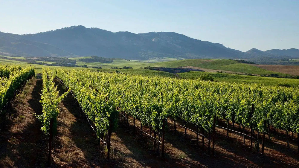 文旅動態(tài)：寧夏文旅廳出臺實施方案，多項舉措加快推進鄉(xiāng)村旅游高質(zhì)量發(fā)展！