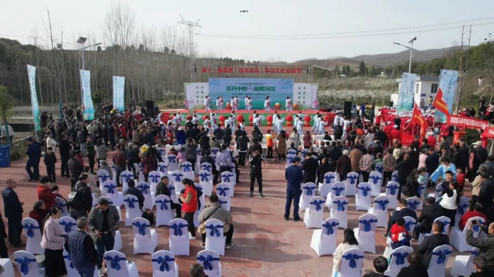 河南：2023年第十一屆西峽李花節(jié)開幕，推動(dòng)農(nóng)業(yè)產(chǎn)業(yè)化和農(nóng)游一體化發(fā)展，助力鄉(xiāng)村振興！