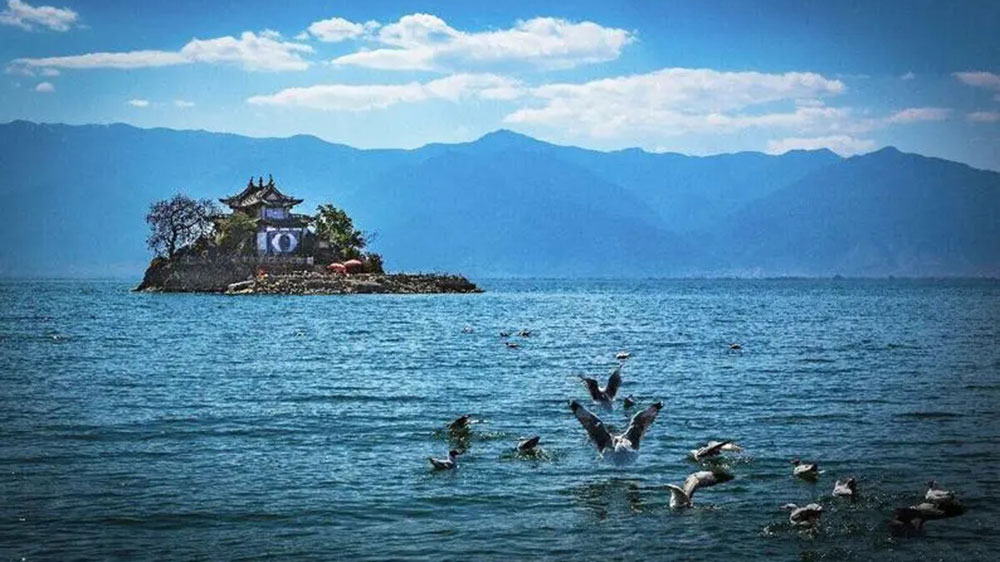 文旅動態(tài)：云南省文化和旅游廳在四川設(shè)立招商辦，共謀旅游產(chǎn)業(yè)高質(zhì)量發(fā)展！