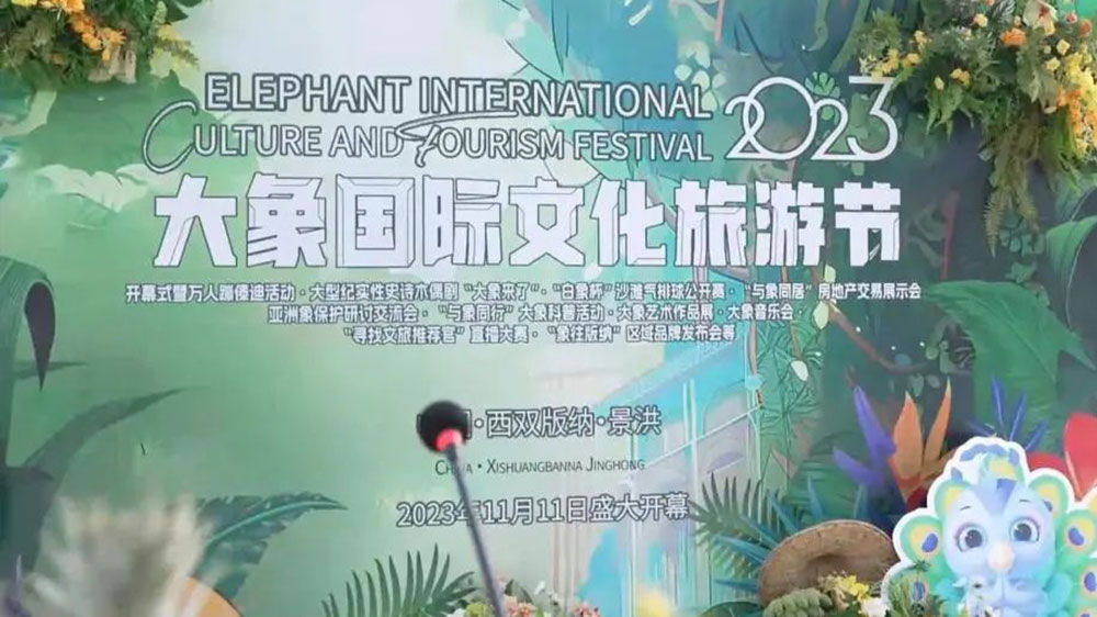 云南：景洪市首屆大象國際文化旅游節(jié)將于11日舉行，推動(dòng)文旅產(chǎn)業(yè)高質(zhì)量發(fā)展！