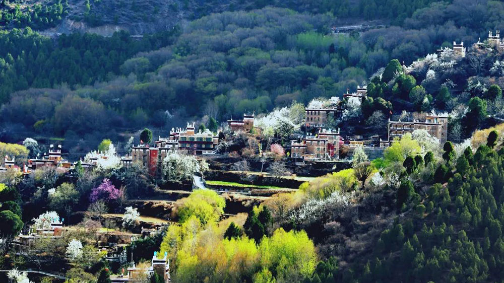 四川：“花開丹巴 為梨而來”美人谷丹巴梨花春賞季活動即將舉辦，推出三條主題游線路！