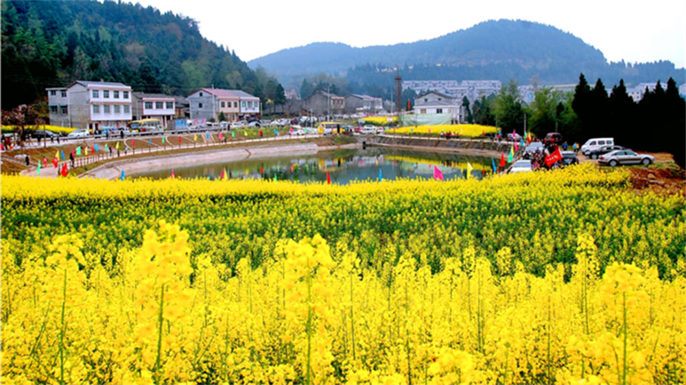 南充：南部縣2024年鄉(xiāng)村旅游文化節(jié)將于3月16日舉行，進(jìn)一步推動(dòng)鄉(xiāng)村旅游產(chǎn)業(yè)發(fā)展！