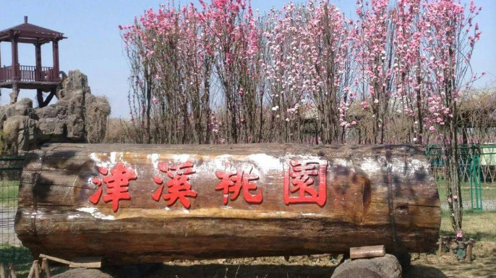 天津：第八屆津溪桃花文化節(jié)將于4月4日開幕，進(jìn)一步加強時尚休閑旅游城市建設(shè)！